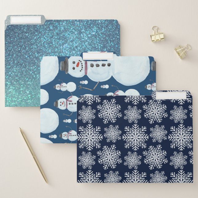Winter White Blue Snowflakes Wonderland Pattern File Folder (Set)