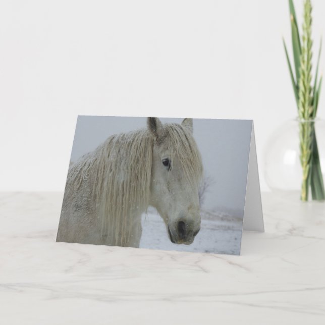 Winter White Card (Front)