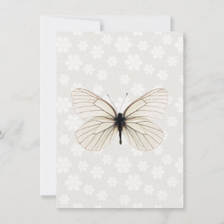 Winter White Damask Rehearsal Dinner Invitation