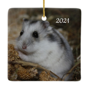 Winter White Dwarf Hamster Pet Ceramic Ornament