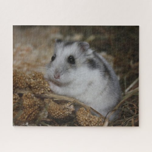 Winter White Dwarf Hamster Pet Jigsaw Puzzle