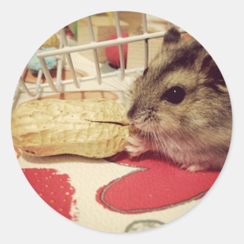 Winter White Hamster Eating a Peanut Sticker Sheet