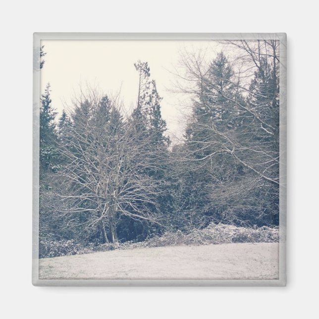 Winter White Magnet (Front)