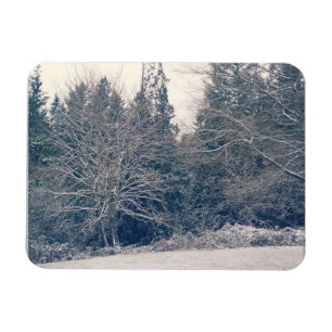 Winter White Magnet