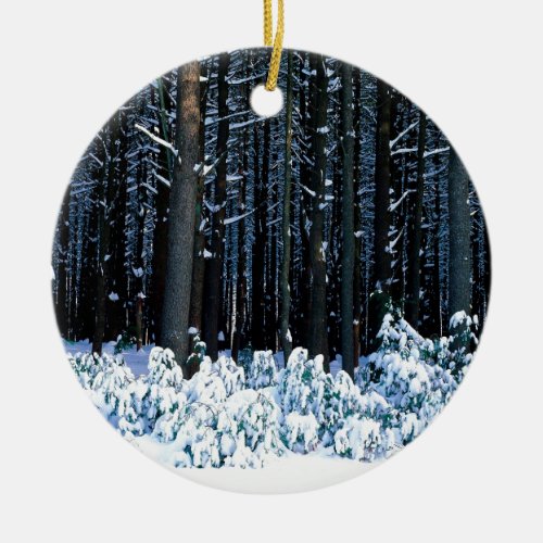 Winter White Pine Trees Pocono Mountains Ceramic Ornament