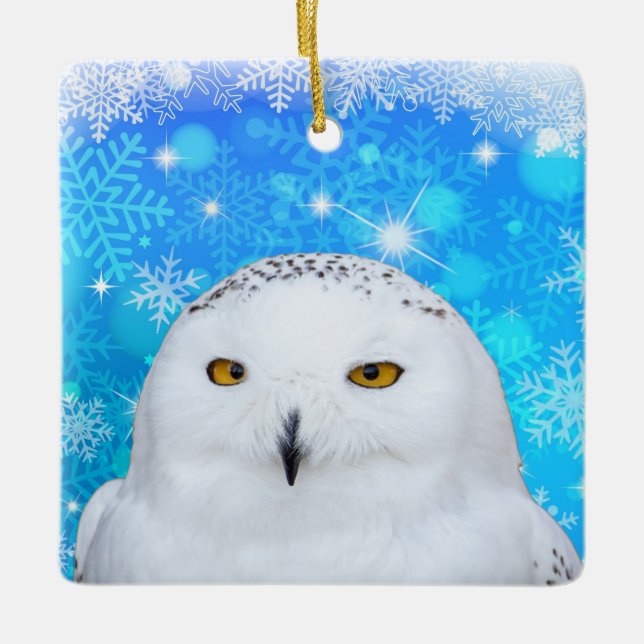 Winter White Snowy Owl Ceramic Ornament (Front)