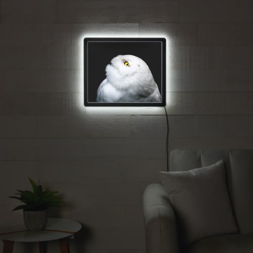 Winter White Snowy Owl LED Sign