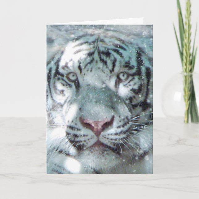 Winter White Tiger Holiday Card (Front)