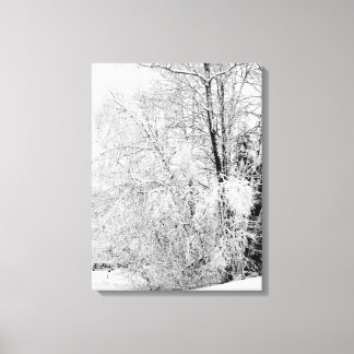 Winter Whites Canvas Print