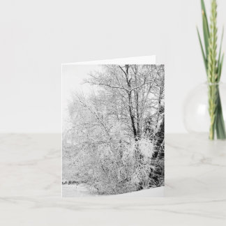 Winter Whites Card
