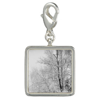 Winter Whites Charm