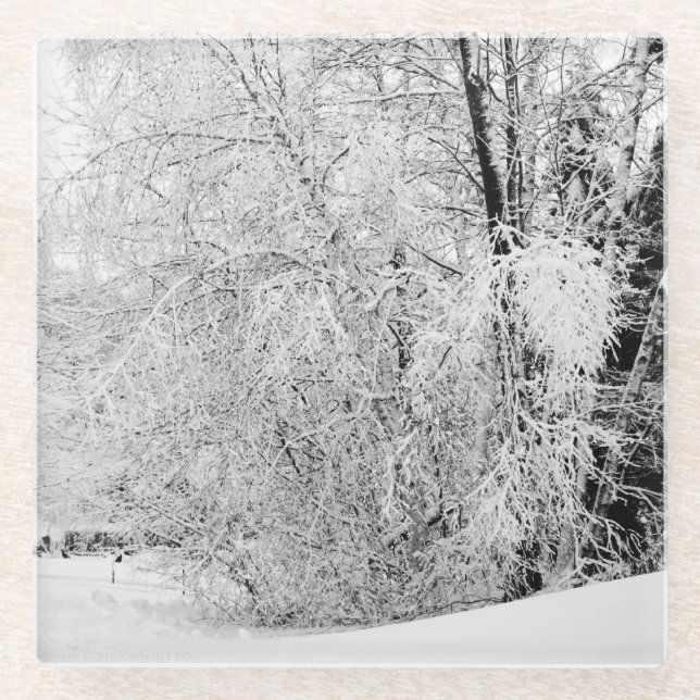 Winter Whites Glass Coaster (Front)