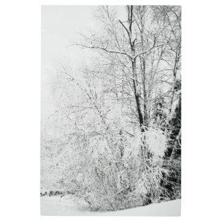 Winter Whites Metal Print