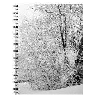 Winter Whites Notebook