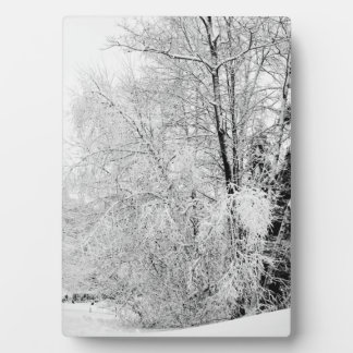 Winter Whites Plaque
