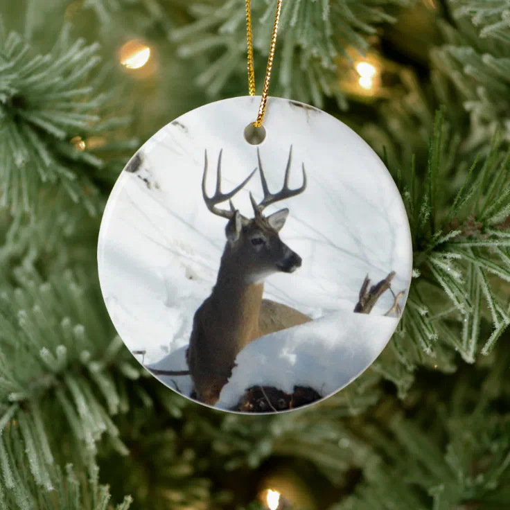 Winter Whitetail Deer Ornament Zazzle