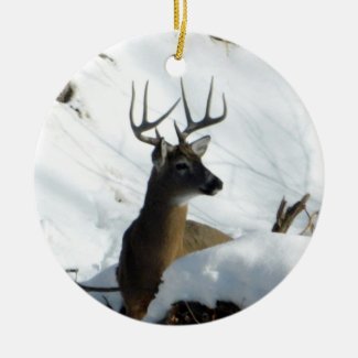 Winter Whitetail Deer Ornament