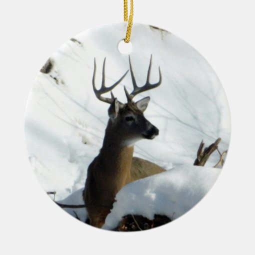 Winter Whitetail Deer Ornament Zazzle