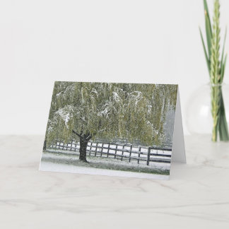 Winter Willow Holiday Card