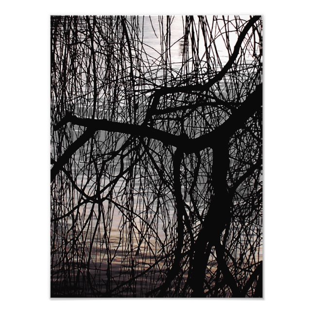 WINTER WILLOW TREE PHOTO PRINT (Front)