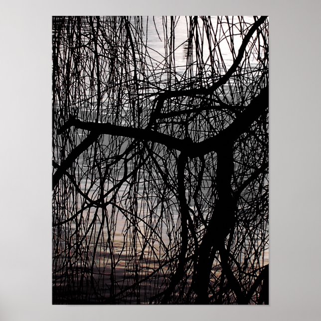 WINTER WILLOW TREE POSTER (Front)