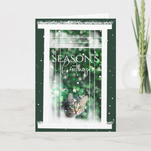Winter Window with a Cute Cat Christmas Card