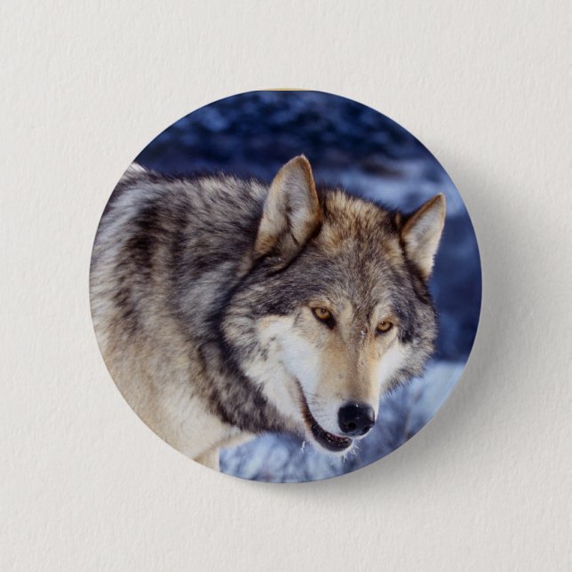 Winter Wolf 2 Button (Front)