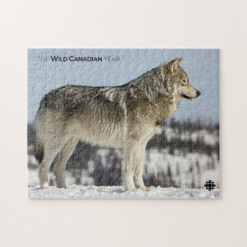 Winter _ Wolf Jigsaw Puzzle