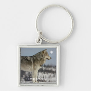 Winter - Wolf Keychain
