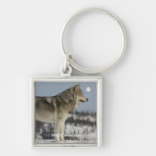 Winter _ Wolf Keychain