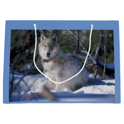 Winter Wolf Large Gift Bag