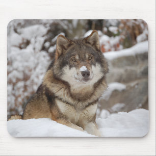 Winter Wolf Mouse Pad