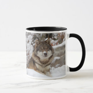 Winter Wolf Mug