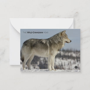 Winter - Wolf Note Card