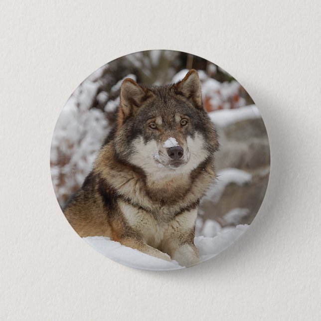 Winter Wolf Pinback Button (Front)