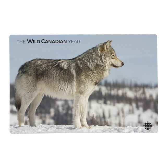 Winter - Wolf Placemat (Front)