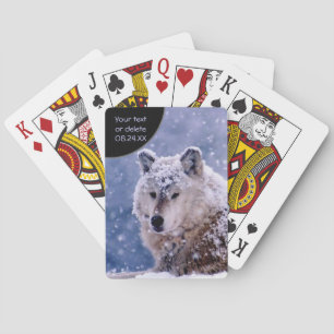 Winter Wolf Resting - Customize Poker Cards