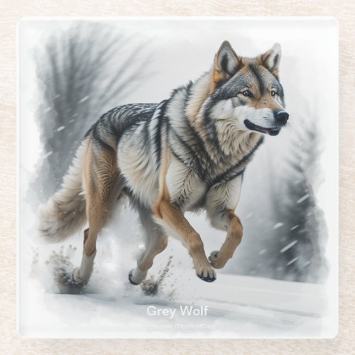 Winter Wolf Run Glass Coaster