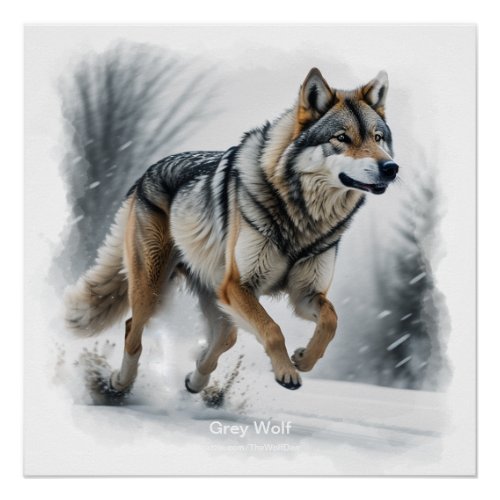 Winter Wolf Run Poster