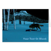 Winter Wolf - Tapetum Lucidum (Front Horizontal)