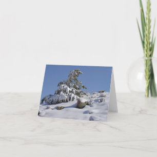 Winter Wonder All Occasion Greeting Card