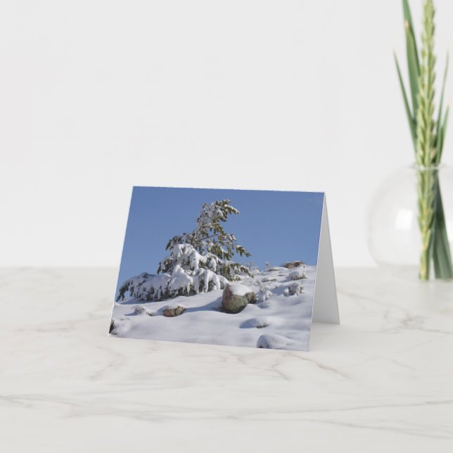 Winter Wonder All Occasion Greeting Card (Front)