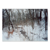 Winter Wonderland (Front Horizontal)