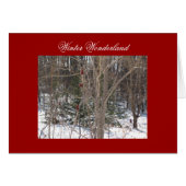 Winter Wonderland (Front Horizontal)