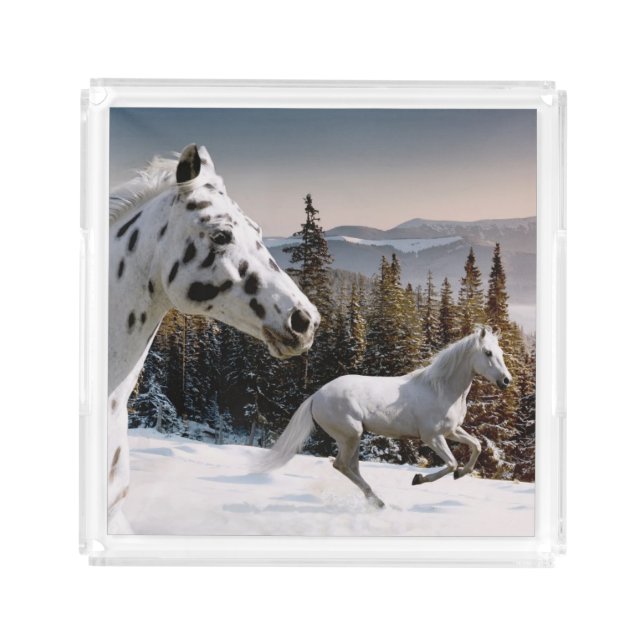 Winter Wonderland Acrylic Tray (Front)