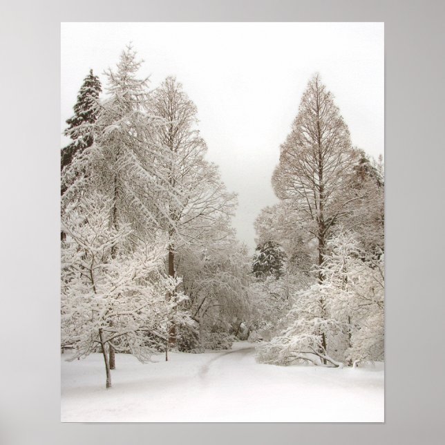 Winter Wonderland Art Print Winter Forest Poster (Front)