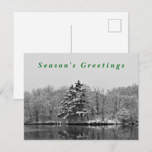 Winter Wonderland Black & White Snow Photography  Holiday Postcard