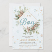 Winter Wonderland Blue Baby Boy Shower Sprinkle In Invitation