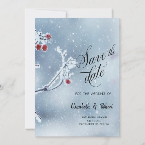 Winter Wonderland Branches Blue Save The Date