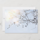 Winter Wonderland by Uname_ (Front)